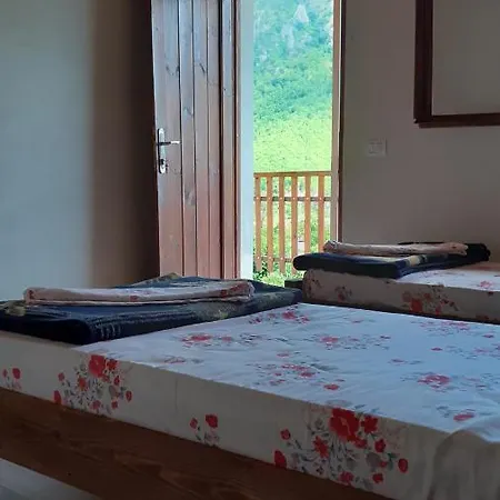 Driti Gh Nderlysa 3* Shkodër