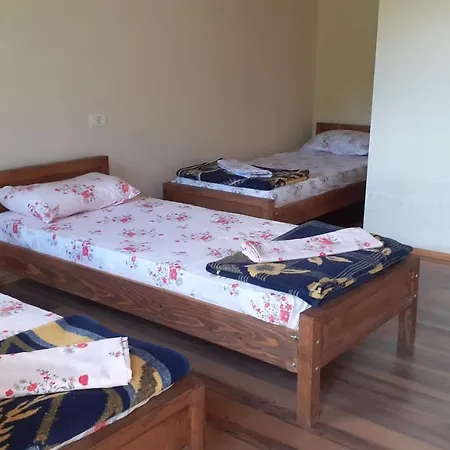 Driti Gh Nderlysa Shkodër