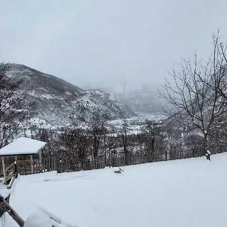 Driti Gh Nderlysa Affittacamere Shkodër