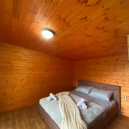 Driti Gh Nderlysa Shkodër