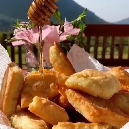 Driti Gh Nderlysa Shkodër