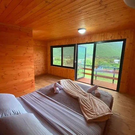 Driti Gh Nderlysa Shkodër