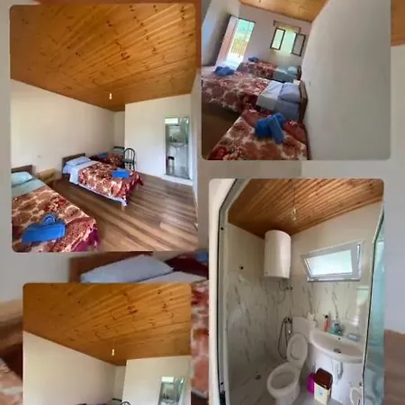 Driti Gh Nderlysa 3* Shkodër