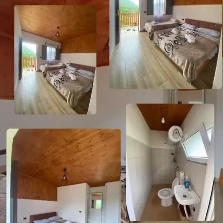 Driti Gh Nderlysa 3* Shkodër