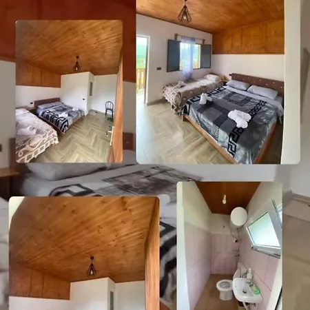 Driti Gh Nderlysa Affittacamere 3*